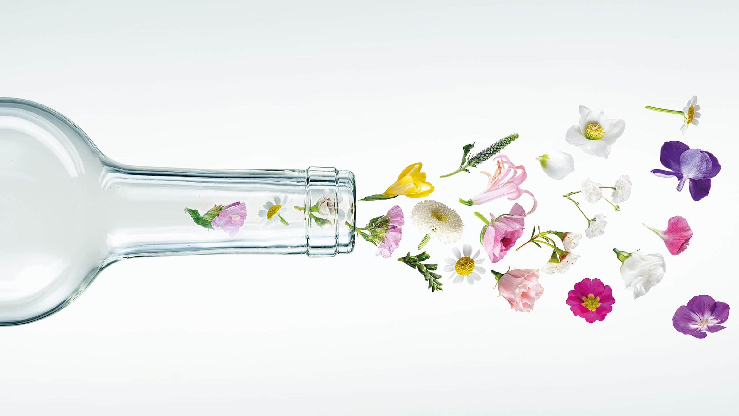 expovina_primavera_messedesign_02