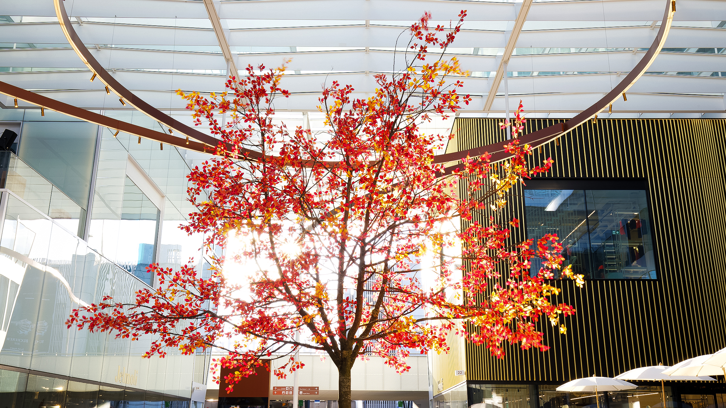 Circle_Herbst_Teaser_2400x1350px_01