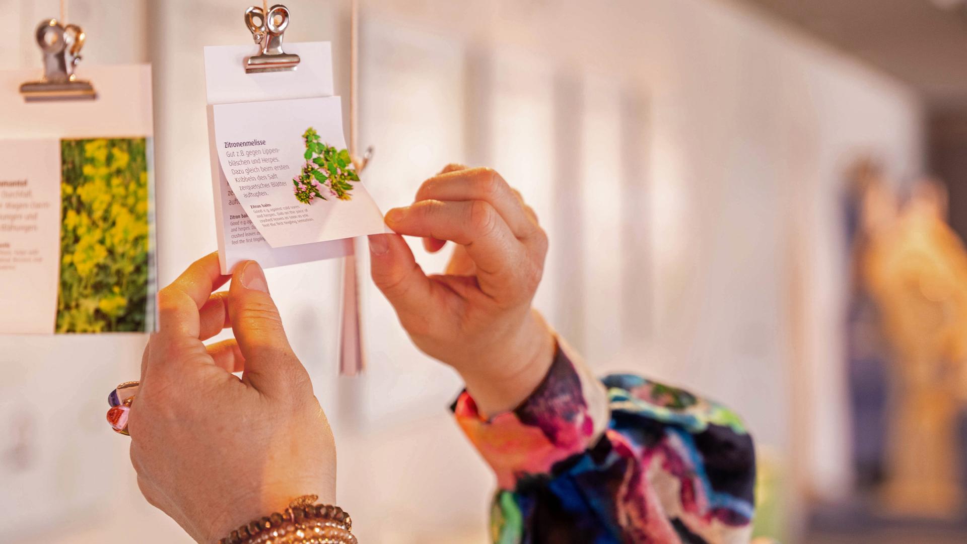 Auf Entdeckungstour in Teufen