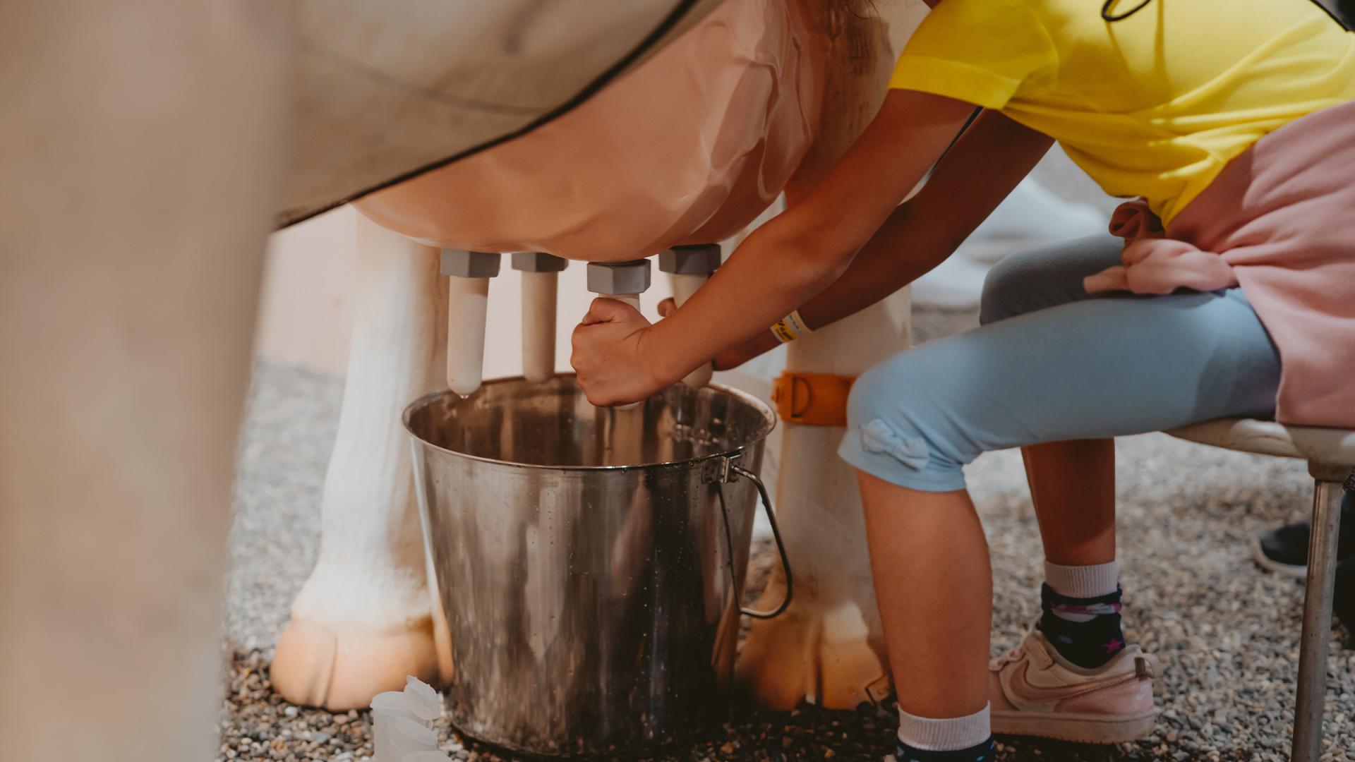 Familie Zürchers Garten