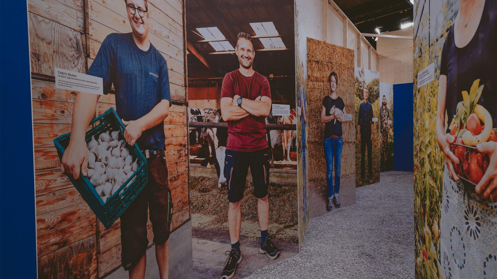 Familie Zürchers Garten 