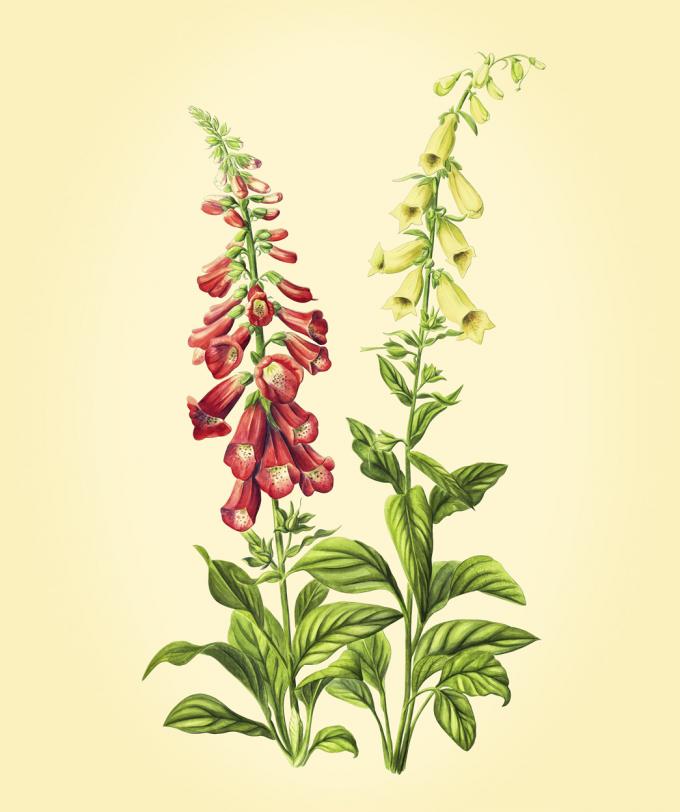 ApoDoc Bild Medium 05