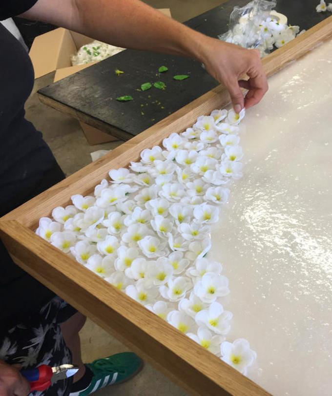 Möhl Bild Medium 13