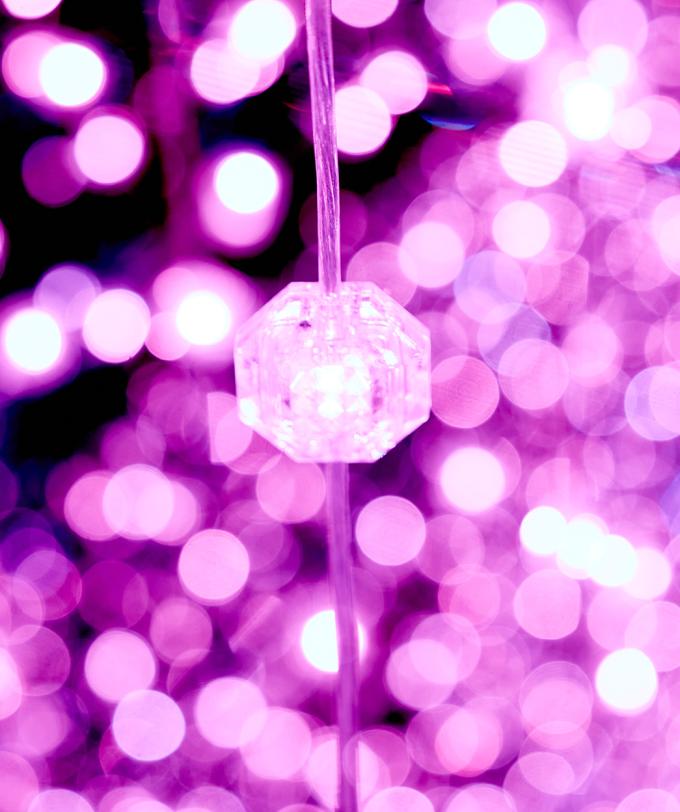 A Touch of Lucy: Konzeption und Realisation der begehbaren Installation